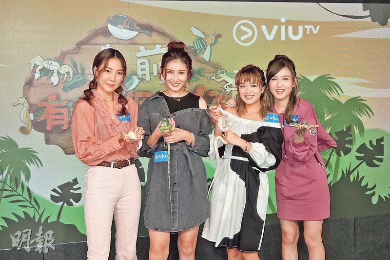 李炘頤（左起）、沈殷怡、陳俞希 、陳嘉倩各拿着不同爬蟲類動物宣傳新節目《蟲前有10個女仔》。（攝影/記者：柯美）