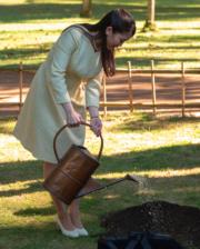 2018年7月18日，真子公主訪問巴西，為種植在里約植物園內日本庭園的幼苗澆水。（法新社）
