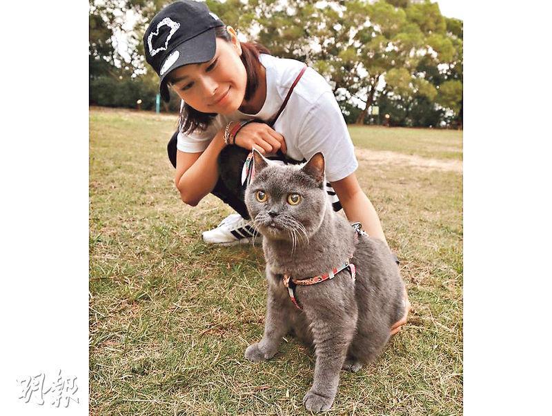 Gin Lee的愛貓「大貓」去年病逝，令她對人生有更多領悟。（網上圖片）