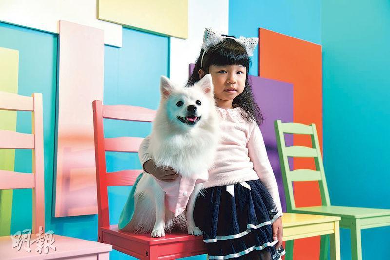 小朋友可與家中寵物在色彩繽紛的椅子上一同拍照，齊齊做個乖學生！（黃志東攝）