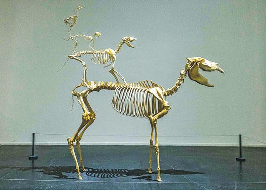 《永恒的愛》創作年份：1997年。規格：驢骨架、狗骨架、貓骨架、公雞骨架（186×120×60厘米）。特色：作品於1997年首次在德國展出，靈感來自格林童話，講述驢、狗、貓和公雞的故事。（UCCA提供）