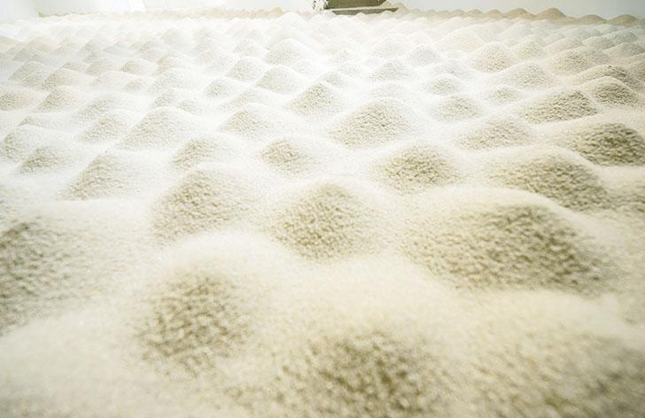 「沙」為藝術家進士渉（Wataru Shinji）與張徑（Lily Zhang）聯展，他們把20噸沙注滿展場，首周堆出500個小沙丘。（進士渉、張徑提供）