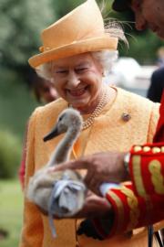 英女王曾於2009年出席英國王室清點天鵝儀式。（The Royal Family網站圖片）