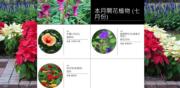 香港動植物公園七月開花植物︰大紅花、銀葉野牡丹、百日菊【附花卉位置圖】