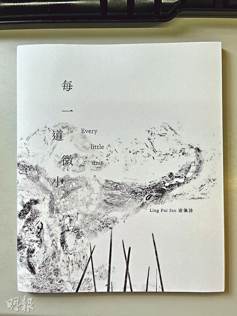 3段對話透視作品--新書《每一道微小》由藝術家簡喬倩設計，收錄了凌佩詩多件作品，以及3段與科學家、策展人和藝術家好友的對話，讓讀者多角度理解她的創作。（嚴嘉栢攝）