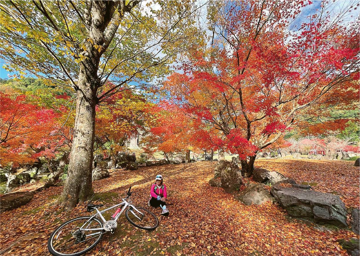 溪石園--慢騎賞楓，九州中津耶馬溪的溪石園，輕鬆走進紅葉林打卡。（Azuki攝）