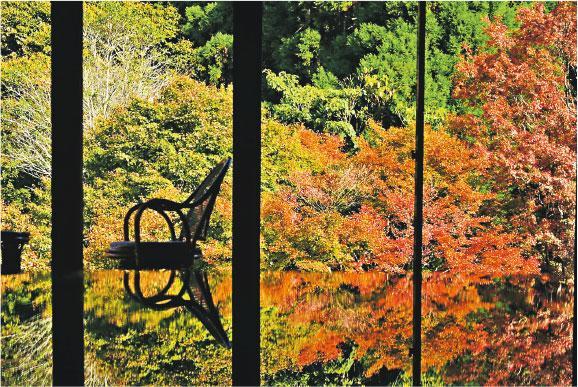 每年11至12月上旬的紅葉季，大家千里迢迢來到環境藝術之森內的風遊山莊。（Onki攝）