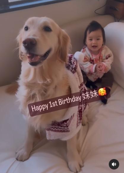 Tony的愛犬也祝Amber生日快樂呢﹗（Ig影片截圖）
