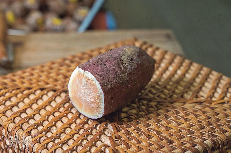 栗子番薯——來自東北、潮州，肉偏淺橙黃色，粉而幼滑，微甜，宜隔水蒸。（林靄怡攝）