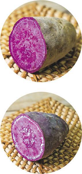 紫番薯——紫皮紫肉，泥地（上圖）種出來的比砂地（下圖）更深色，粉而微香，不甜。由於紫色漂亮，可製成各式中西甜品，花青素較高，不少注重體重人士喜愛煠或蒸來吃。（林靄怡攝）