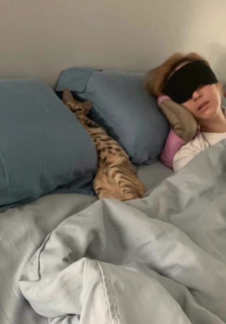 Sammi罕有貼出牀照，相中的她與貓共寢，Sammi還戴了眼罩及墊了U型枕入睡。（Ig圖片）