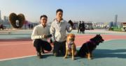 活動情報｜vivo手機攝影免費體驗工作坊　教授寵物及香港夜景拍攝技巧