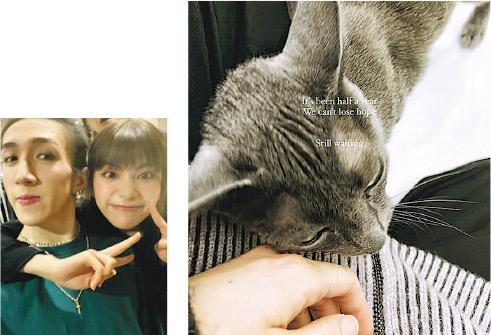 蘇芷晴（左圖右）貼出跟男友李啟言飼養的愛貓照片（右圖），並留言自勉。