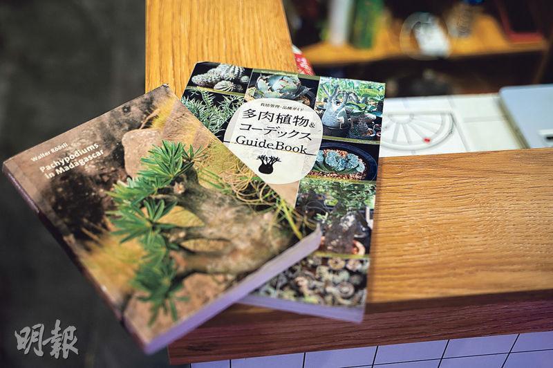 「魔界植物」店長皮皮推薦新手讀的2本塊根入門書籍。（林靄怡攝）