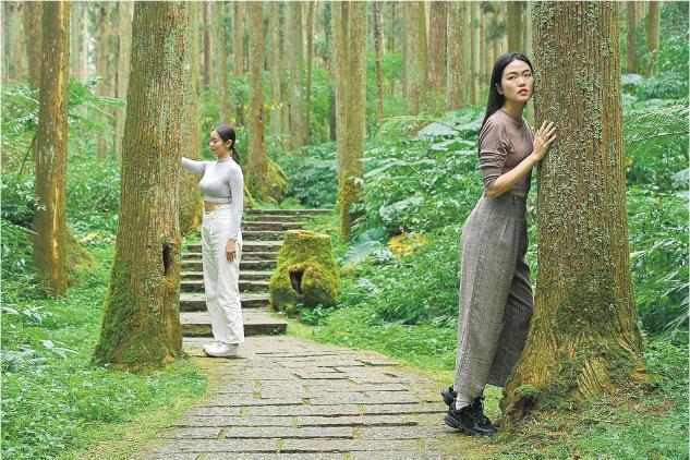 台灣近年開始流行「森林療癒」，透過大自然療癒疲憊的心靈。（酒店提供）