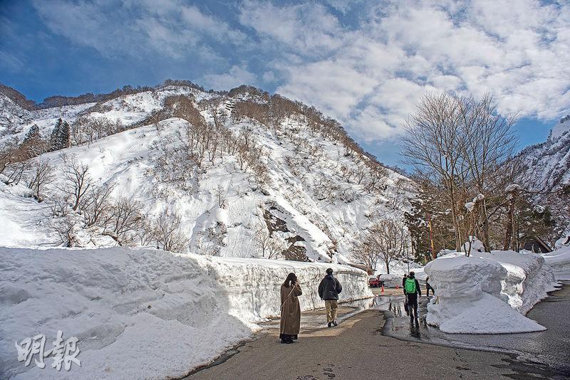 雖然在冬天看不清峽谷壁的六角岩石，但鋪滿雪又是另一美態。（卓文慧攝）