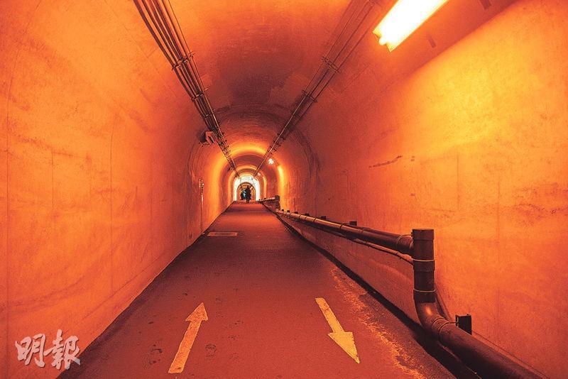 隧道內每段均有不同燈光變化。（卓文慧攝）