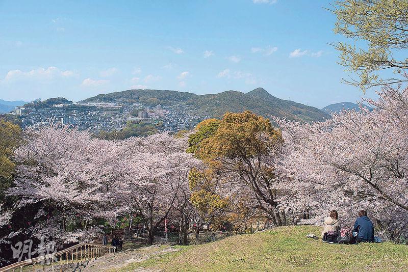 風頭公園——風頭公園是長崎人喜歡的消閒之地，櫻花盛放時他們會帶些小吃和便當，在山丘上一邊欣賞長崎市景色，一邊野餐賞櫻。（卓文慧攝）
