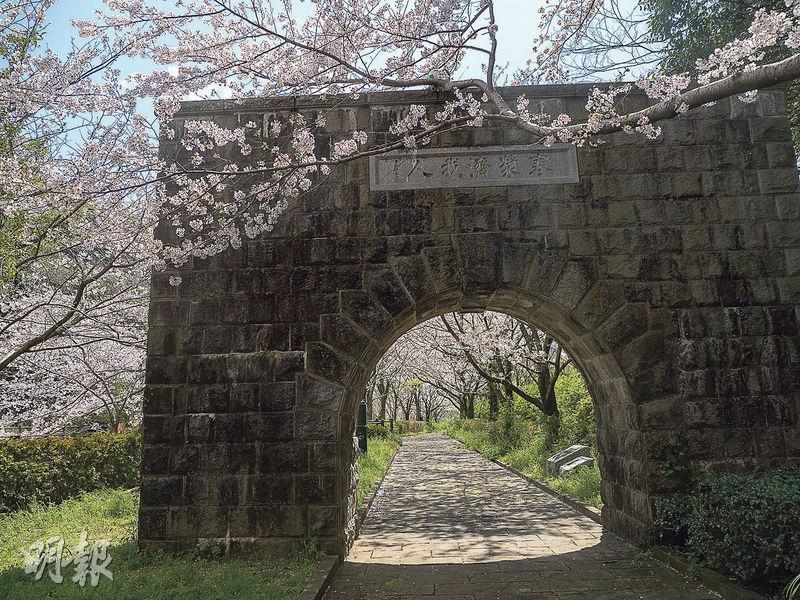 西山水壩下流公園內有石拱門，園內的櫻花步道遊人甚少。（卓文慧攝）
