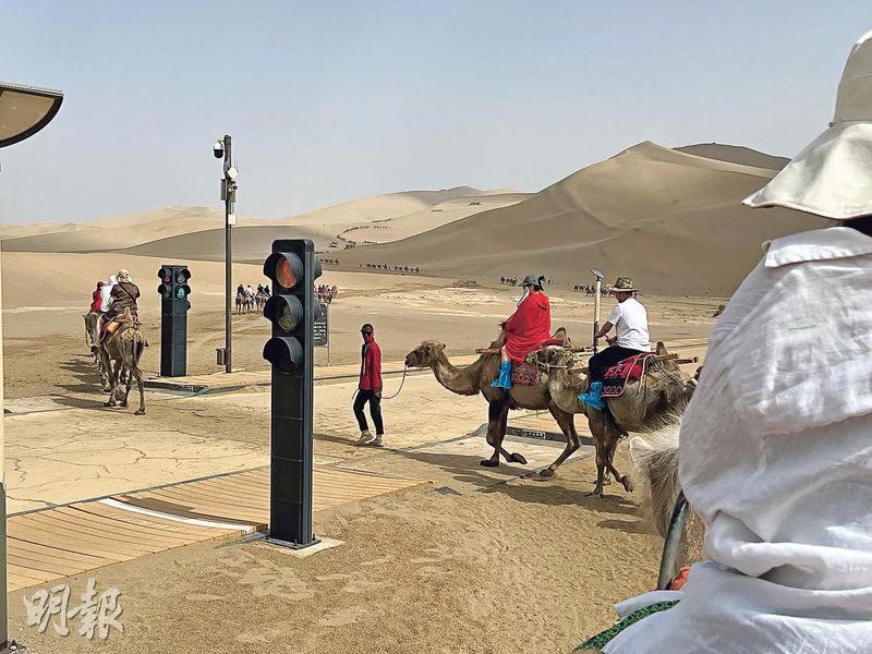 沙漠紅綠燈--不少人騎着駱駝遊歷鳴沙山，也有人選擇步行體驗。為免道路使用者相撞，於是兩條路線在沙漠中的交叉點設置了交通燈。（嚴嘉栢攝）
