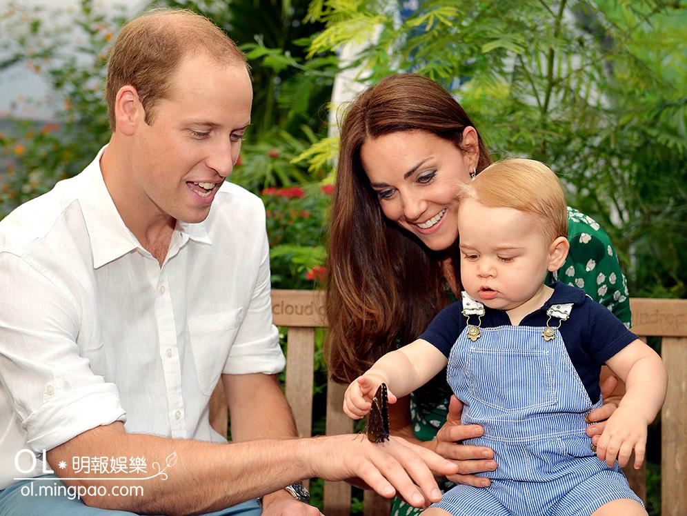 2014年7月喬治小王子1歲生日，英國威廉王子夫婦帶小王子到倫敦的自然歷史博物館看蝴蝶展覽。（法新社）