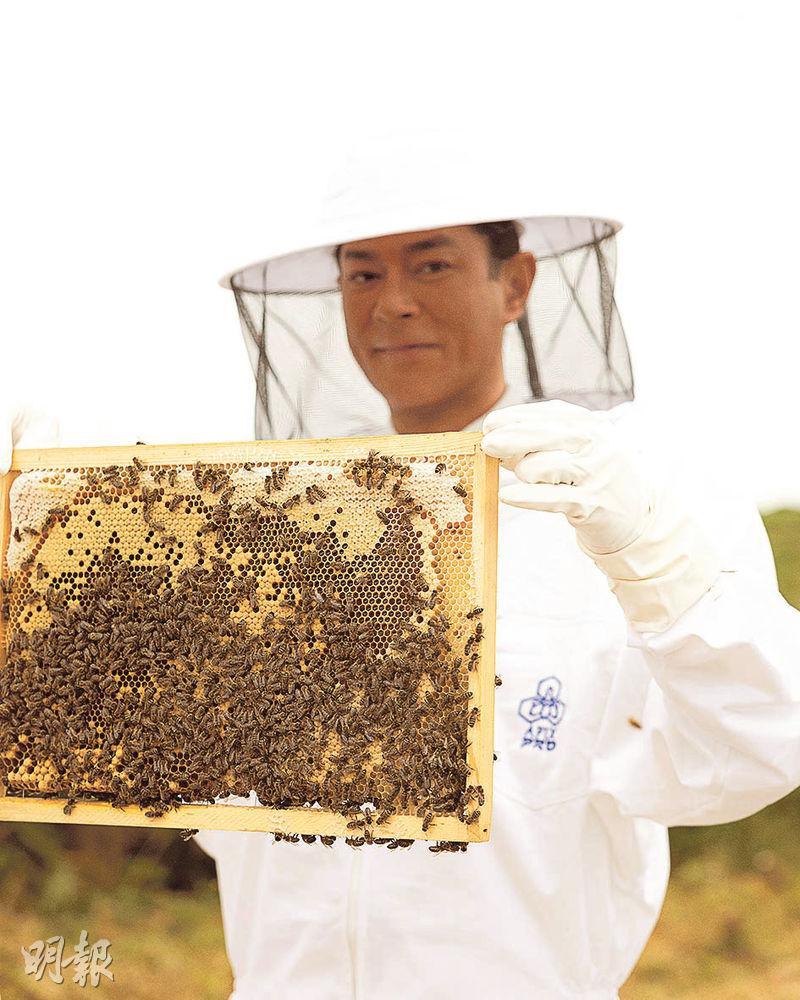 古天樂穿上特製裝束，體驗養蜂人的日常。