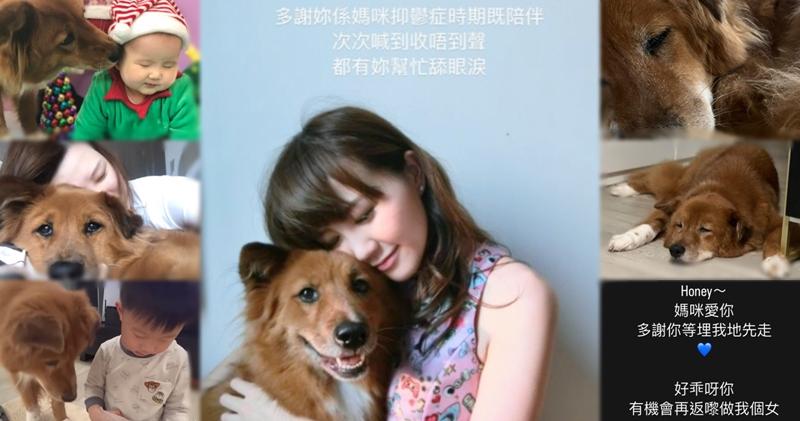 吳若希的14歲愛犬離世。（Ig圖片）