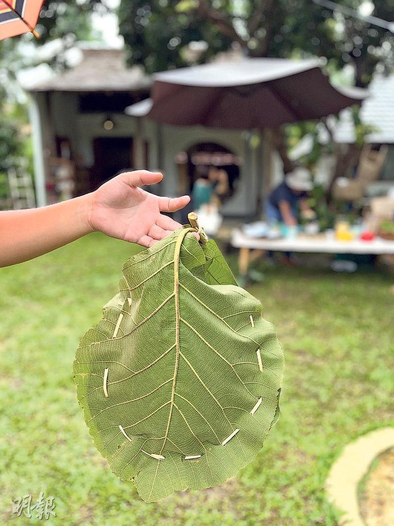 樹葉手挽袋——在Bamboo Family Market找到的免費樹葉手挽袋超可愛，完全符合zero waste主題！（何穎攝）