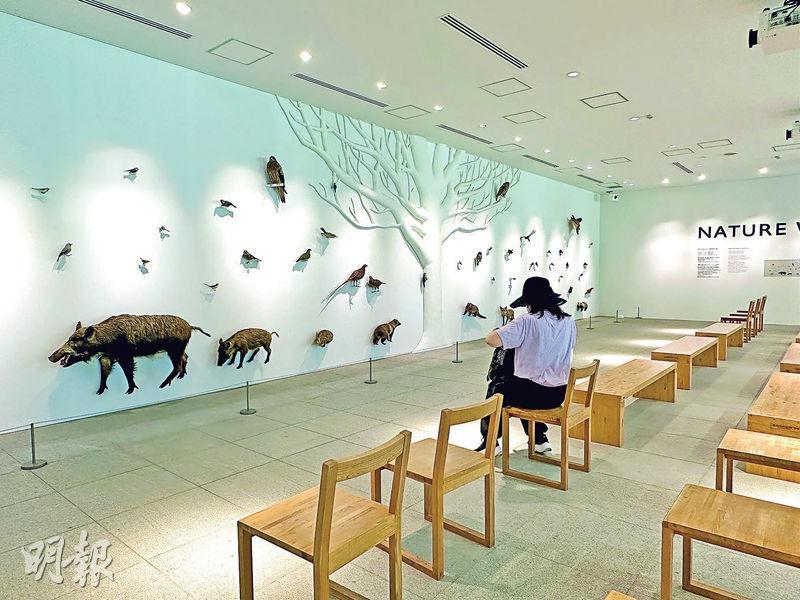 標本牆--TAKAO 599 MUSEUM珍藏多種在高尾山上出現的動植物標本，這幅Nature Wall呈現大山、人類和大自然和平共處的概念。（胡慧敏攝）