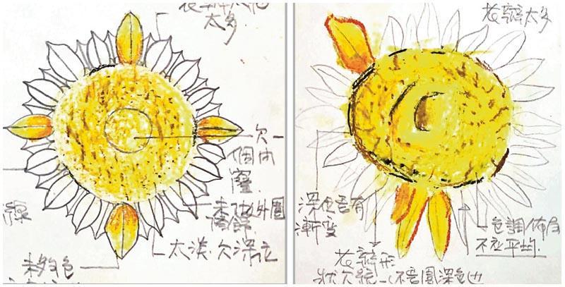 2幅來自不同學生練習的「向日葵」造型，除可以看到色彩表現分別之外，主體造型也各有不同，但應以配合考試設定的條件為先。（作者提供）