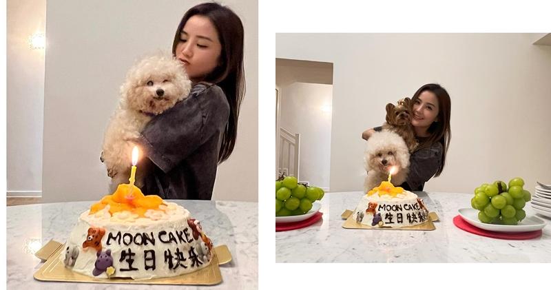 阿Sa愛犬「月餅」已經17歲生日。（Ig圖片）