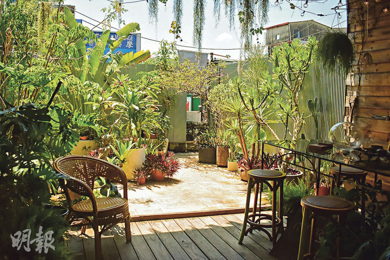 小庭園--季風沒有把用餐空間盡用，室外設了一個小庭園，種滿各式植物，愜意得很。（張淑媚攝）