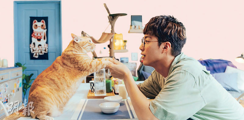 電影《如果主子會說話》由台灣新生代演員蔡凡熙主演，一人一貓擦出不一樣的火花。（劇照）