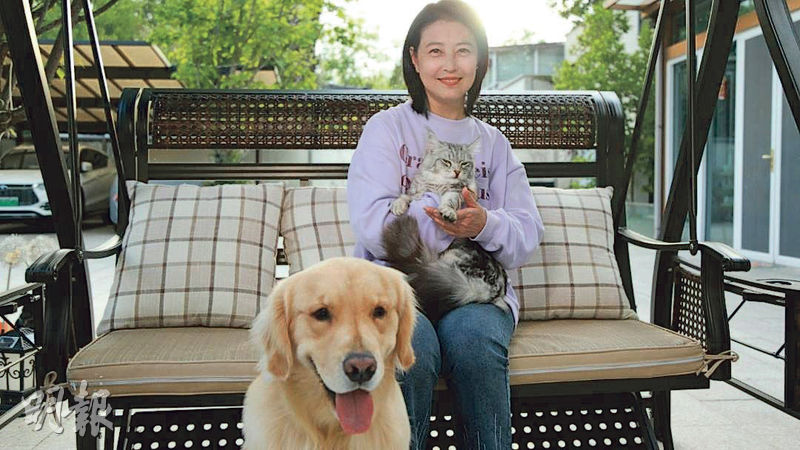 有指周海媚家人計劃將她的寵物帶回香港飼養。（網上圖片）