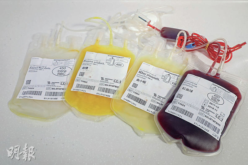 收集的血液製成不同的成分血產品，包括紅血球（右一）、新鮮冷凍血漿（左二）、冷沉澱及血小板（右二）。（資料圖片）