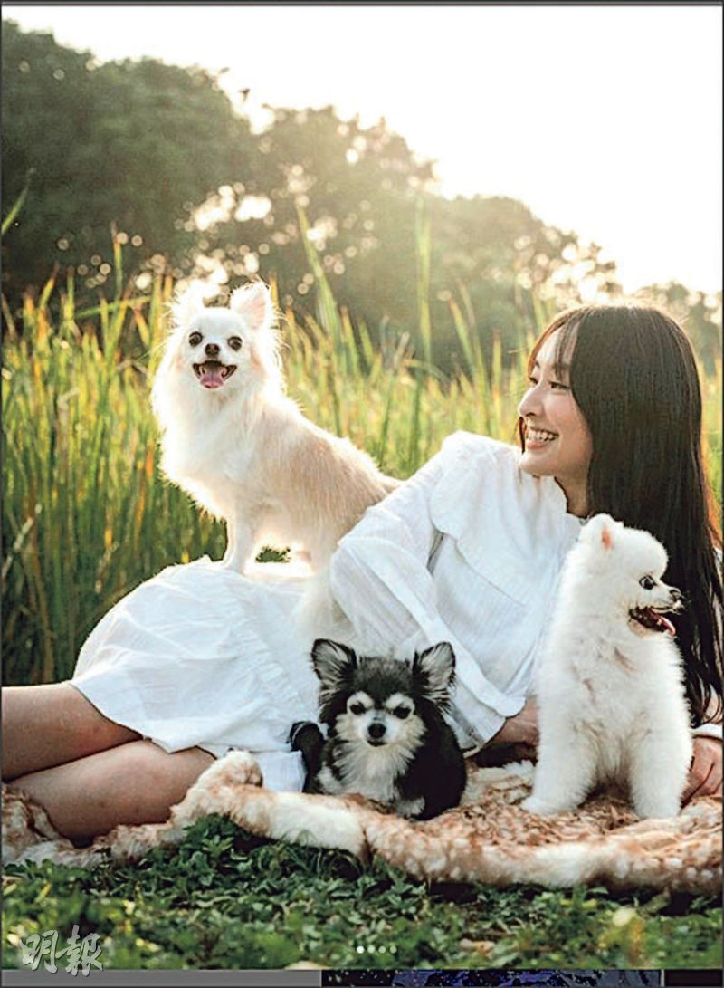 陳瀅透露愛犬（黑色毛）患癌病逝，令她傷心不已。（資料圖片）