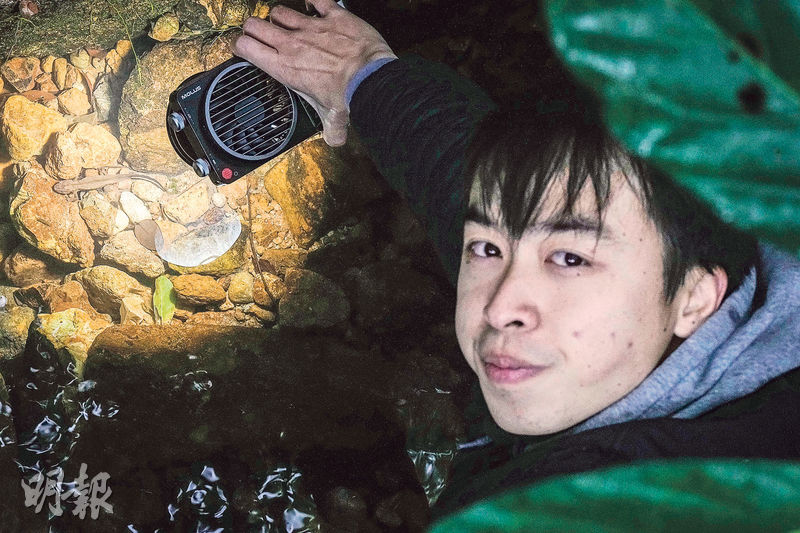 在飛鵝山道某一河坑，生態攝影師馮漢城指認出香港瘰螈。（馮凱鍵攝）