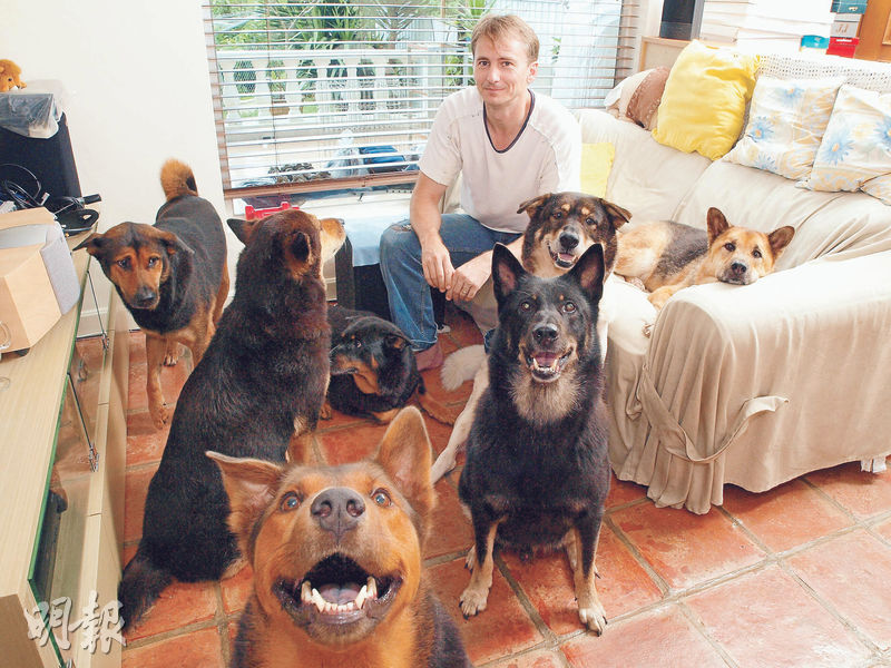 河國榮視愛犬如親生子女，曾先後收養13隻狗。（資料圖片）
