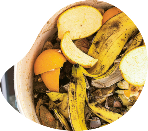 最好的堆肥材料是生廚餘（如果皮、菜），熟廚餘（如湯渣）其次，有多添加物的熟廚餘（如薯條、意粉）就效果最差。透過波卡西發酵堆肥法，總共用約7到8周就可以製成熟成堆肥。