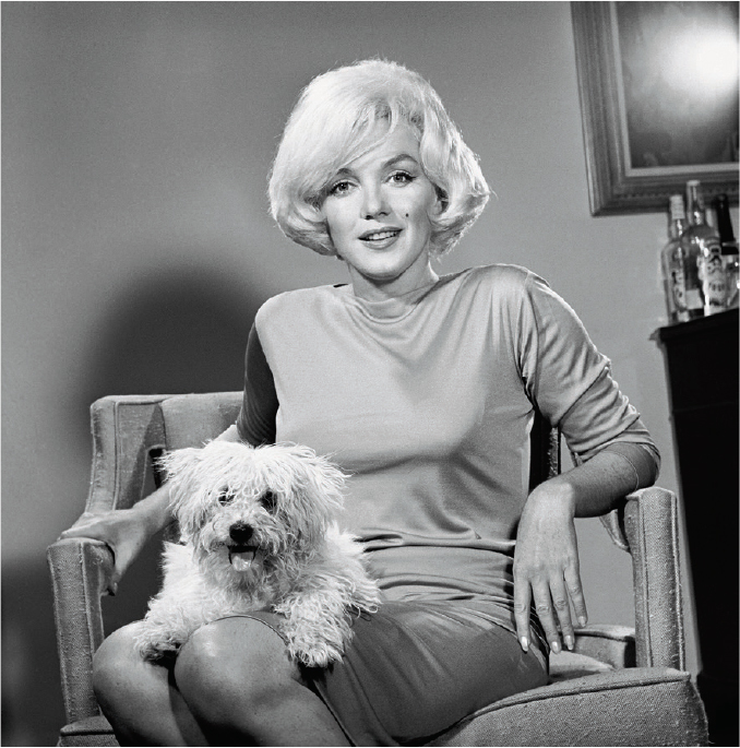 Marilyn Monroe曾擁有及穿著的粉紅色Pucci絲質針織長袖連衣裙--估價：4萬至6萬美元（約31.2萬至46.8萬港元），特色：拍賣行暫未提供實物圖片，此照片或能讓藏家發揮想像力，時光倒流與Marilyn Monroe相遇（拍賣行、 Eric Skipsey mptvimages.com提供）