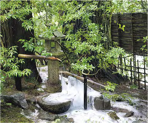 波特蘭日本花園（作者提供）