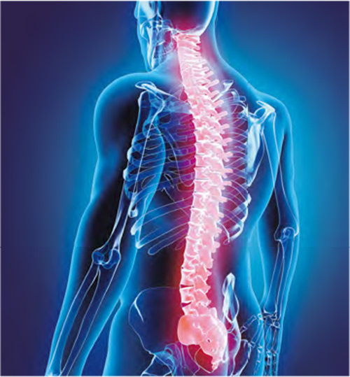 由於頸椎位於身體較高位置，頸椎關節及周邊肌肉容易受較下關節的扭轉或繃緊影響。（yodiyim@iStockphoto）
