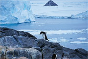 無定向學堂：國家科研40年 發展超低溫自動測氣象 南極療癒艙克服極晝與極夜
