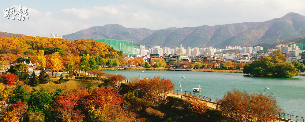 大邱 限定美景