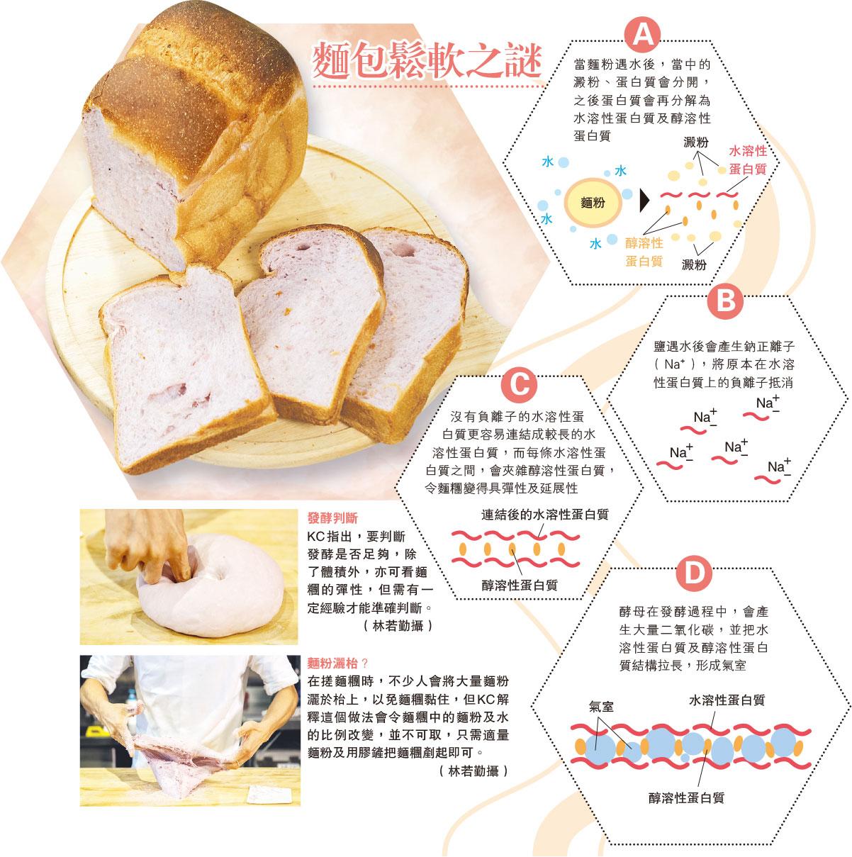 麵包鬆軟豈止靠發酵 鹽是關鍵 連結蛋白質 提高麵粉吸水率
