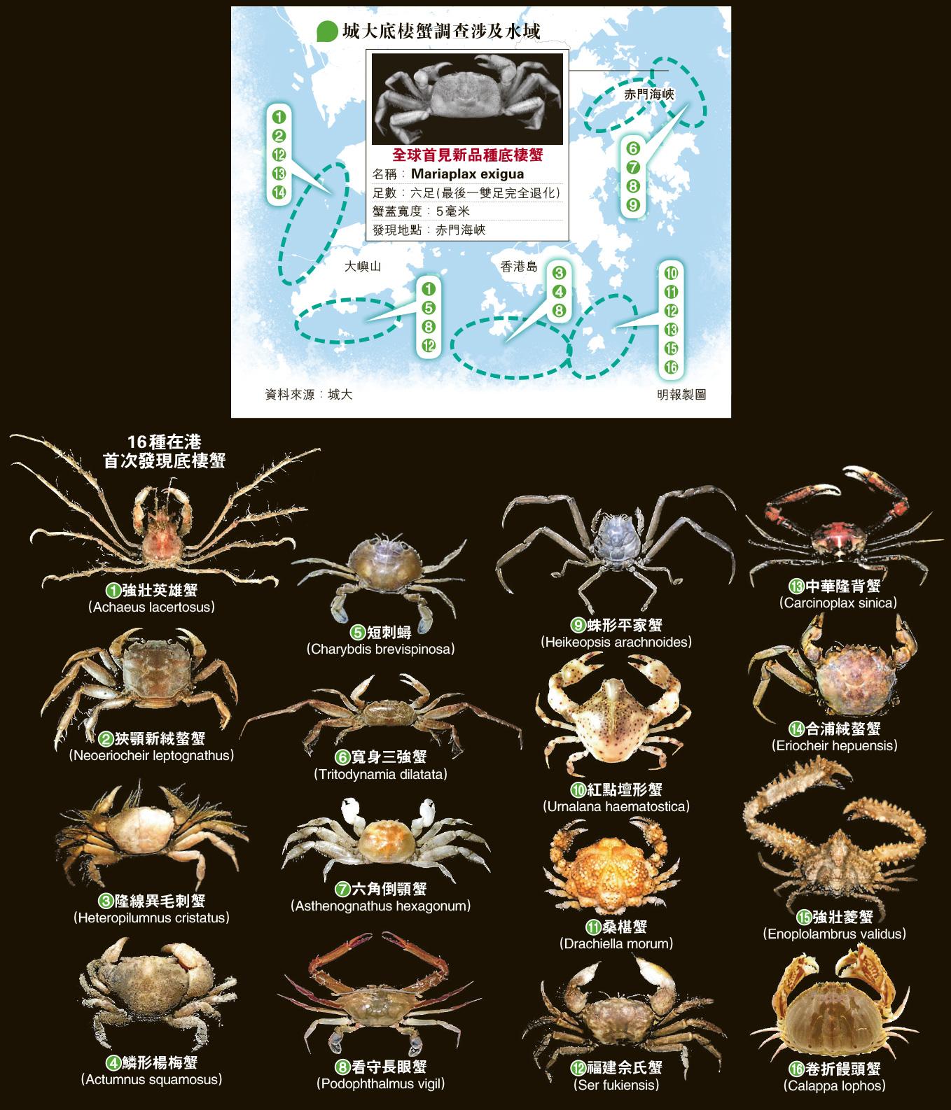 movie chic movie style:《龍與雀斑公主》元宇宙使用說明書- 20211114