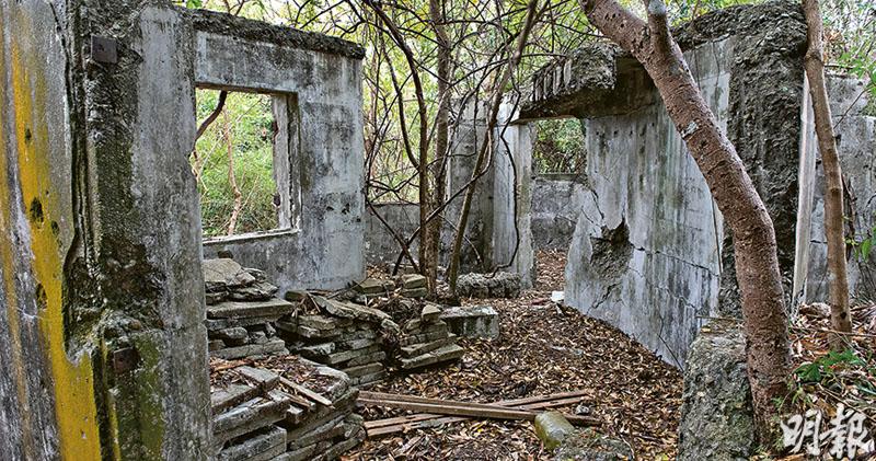 摩星嶺5炮台失修 保育無期 2009年評二級建築 其中一座隱沒叢林沒路通