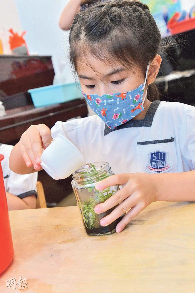 DIY生態瓶——學生以玻璃瓶、泥土、卵石、水草、小蝦和水,DIY生態瓶。(劉焌陶攝)