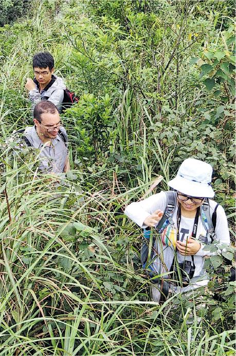 新發現的植物物種以〈中國香港植物新記錄〉為題，剛於學術刊物《亞熱帶植物科學》上發表，圖為3名論文作者在野外調查，包括朱慧玲（前起）、Craig Williams、劉金剛。（嘉道理農場提供）