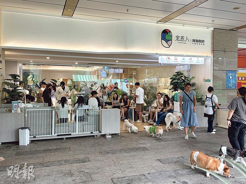 寵癒人社交店位於順德大信新都匯商場地下一層，店門對出是戶外空地，給予寵物足夠活動空間。（陳子凌攝）